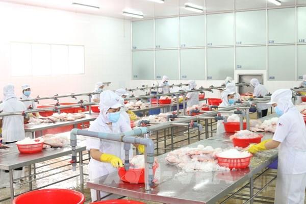 Doanh nghiệp hiến kế xử lý các vấn đề sau kiểm soát dịch COVID-19