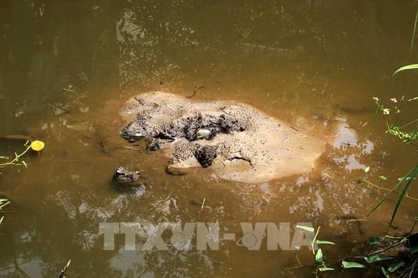 Khai thác khoáng sản gây thiệt hại cho người dân