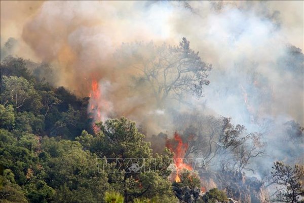 Dư luận xung quanh hội nghị thượng đỉnh về đa dạng sinh học lớn nhất thế giới