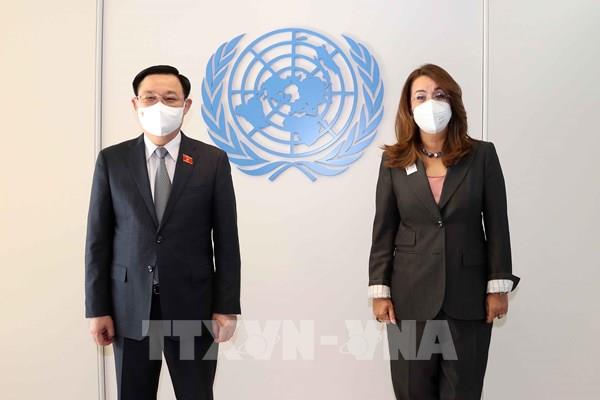 Chủ tịch Quốc hội Vương Đình Huệ gặp Trưởng Văn phòng đại diện Liên hợp quốc tại Áo