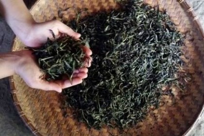 Một doanh nghiệp bị thiệt hại nặng khi xuất khẩu chè sang Pakistan