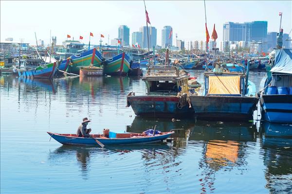 Đà Nẵng tạm dừng thi công thí điểm nạo vét âu thuyền Thọ Quang