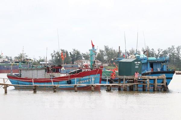 Tin bão mới nhất: Bão số 5 giật cấp 11 có khả năng mạnh thêm