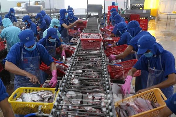 Camimex Group góp 200 tỷ đồng lập công ty thủy sản công nghệ cao