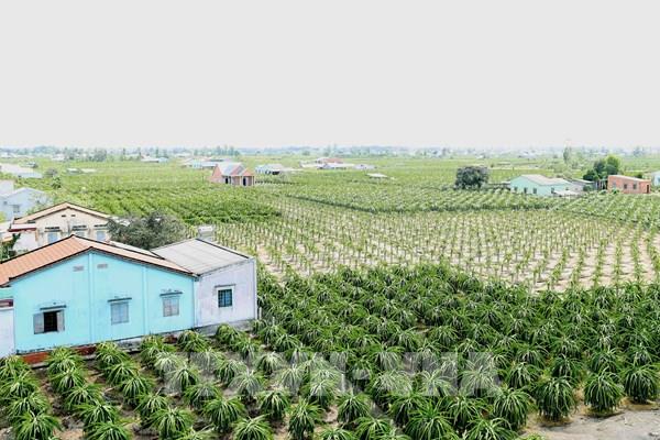 Thành lập Hội đồng thẩm định Chương trình xây dựng nông thôn mới giai đoạn 2021-2025