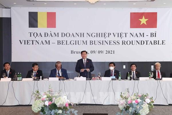 Chủ tịch Quốc hội Vương Đình Huệ dự Tọa đàm doanh nghiệp Việt Nam - Vương quốc Bỉ
