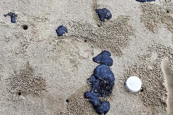 Chuẩn bị xử lý hơn 10 tấn dầu vón cục trôi vào bờ biển Vĩnh Linh, Quảng Trị