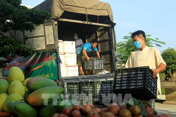 Giải pháp nào kết nối sản xuất, chế biến và tiêu thụ nông sản trong nước?