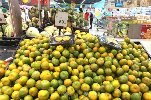 Xuất khẩu thực phẩm của Thái Lan tăng bất chấp đại dịch COVID-19