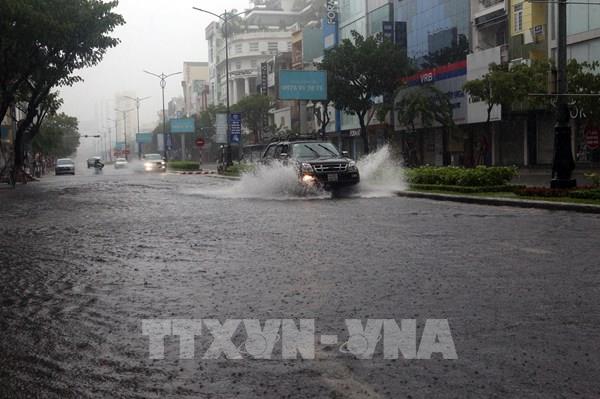 Ứng phó bão số 5: Để bảo vệ an toàn công trình thủy lợi và sản xuất nông nghiệp