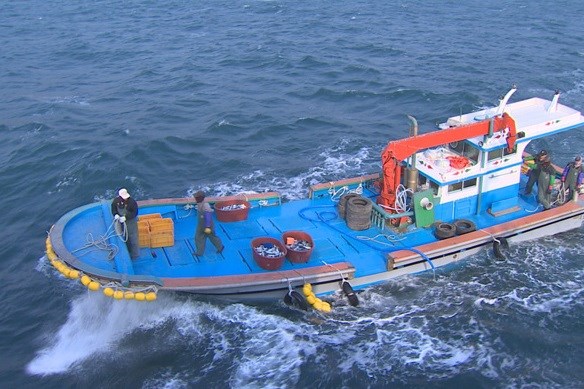 Ngành ngư nghiệp Hàn Quốc thiếu hụt lao động