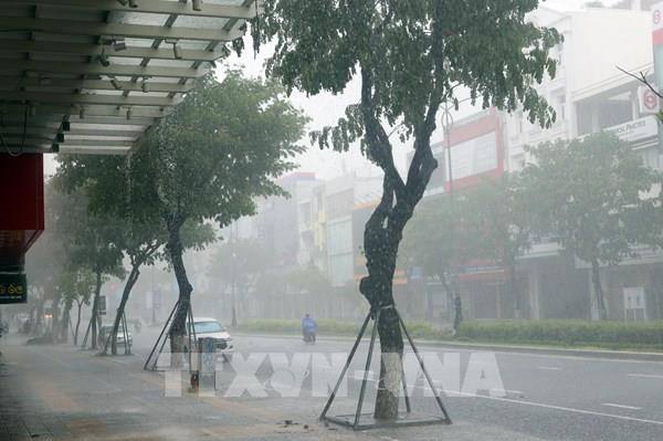 Áp thấp nhiệt đới suy yếu thành một vùng áp thấp trên vùng biển Đà Nẵng đến Quảng Ngãi