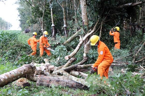 Ứng phó bão số 9: Ngành điện với các phương án xử lý sự cố kịp thời