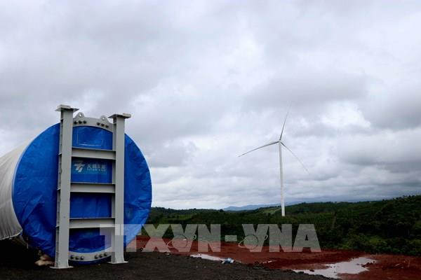 3 dự án điện gió tại Đắk Nông: Triển khai khi chưa được cho thuê đất là vi phạm Luật Đất đai