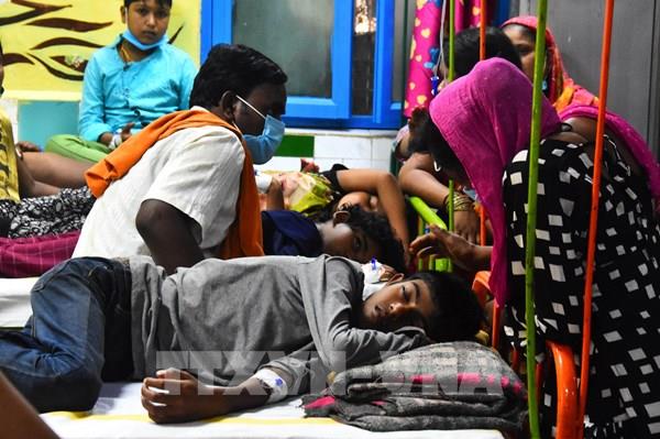 Ấn Độ: Hàng chục người tử vong nghi do sốt xuất huyết