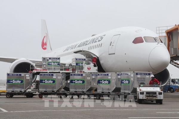 Nhật Bản viện trợ thêm vaccine phòng COVID-19 cho Việt Nam