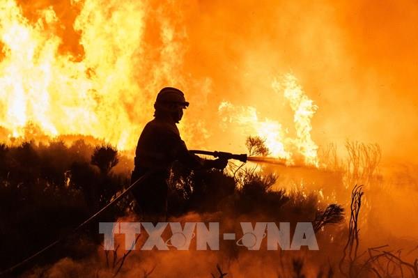 Tây Ban Nha đã kiểm soát được các đám cháy rừng kéo dài 7 ngày qua