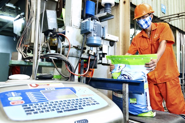 Giảm thuế một số mặt hàng sản xuất thức ăn chăn nuôi