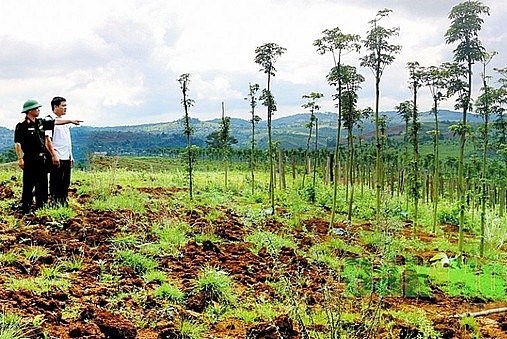 Quy hoạch sử dụng đất an ninh thời kỳ 2021-2030, tầm nhìn đến năm 2050