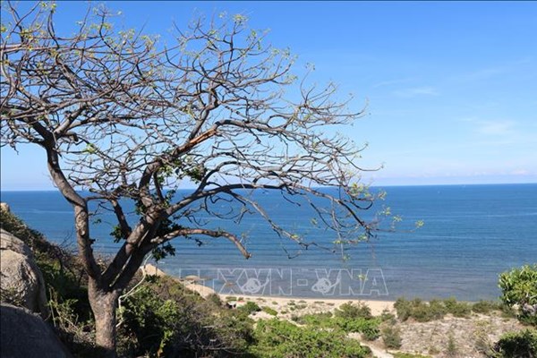 Khu dự trữ sinh quyển Núi Chúa và Kon Hà Nừng được đề cử tại UNESCO