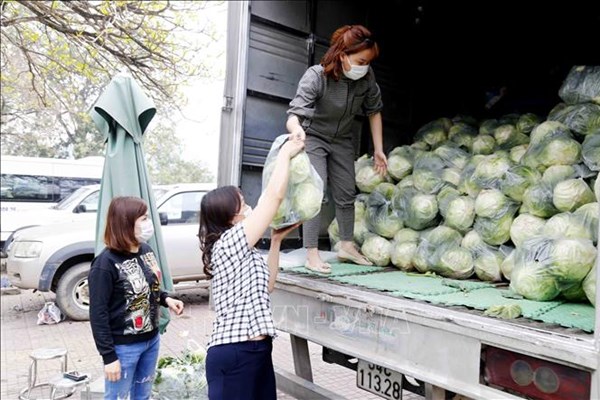 Tuyên Quang hỗ trợ 350 tấn nông sản cho Hà Nội chống dịch COVID-19