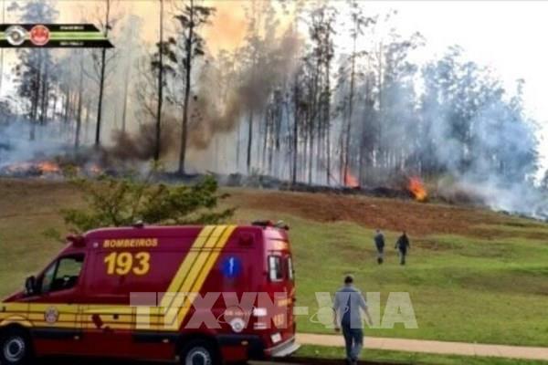 Tai nạn máy bay tại Brazil, 7 người thiệt mạng