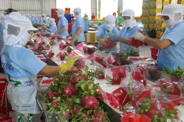 Bình Thuận hỗ trợ sản xuất và tiêu thụ nông, thủy sản