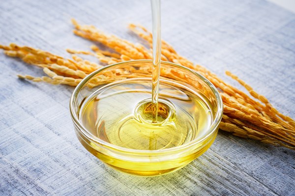 Doanh nghiệp Na Uy cần mua dầu gạo Việt Nam