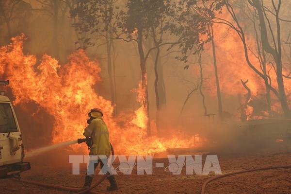 IFRC: Hơn 139 triệu người bị ảnh hưởng bởi khủng hoảng khí hậu và COVID-19