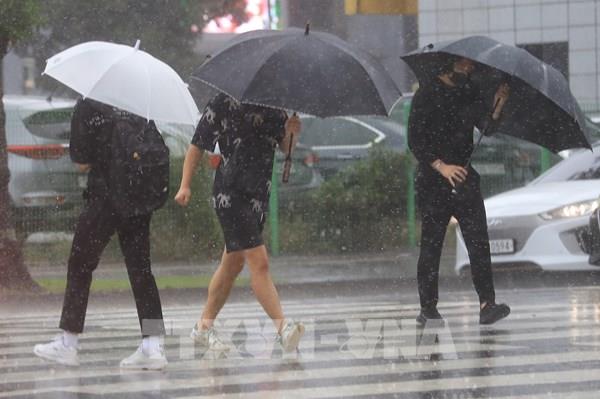 Hàn Quốc: Đảo Jeju ngập nặng, nhiều chuyến bay bị hủy do bão Chanthu