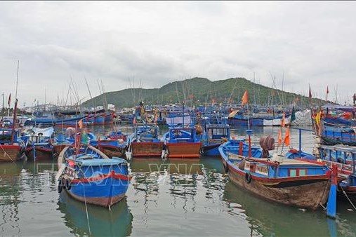 Khánh Hòa: Nhiều tàu cá nằm bờ do thuyền viên chưa được tiêm vaccine COVID-19