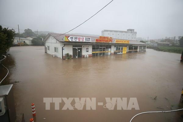 Bão Chanthu đổ bộ vào phía Tây Nhật Bản làm ít nhất 5 người bị thương