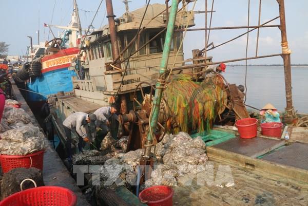 Khắc phục "thẻ vàng" IUU: Bà Rịa-Vũng Tàu xử phạt nặng đối với các tàu cá vi phạm