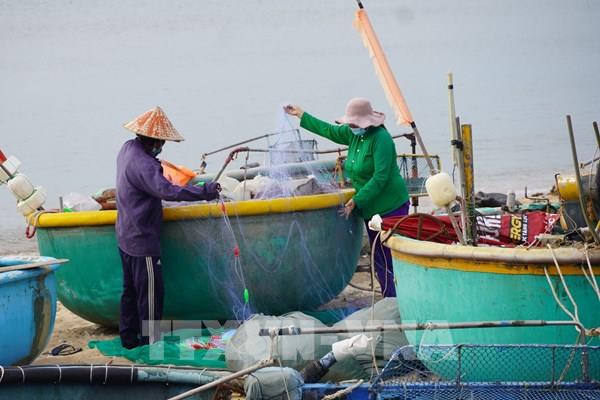 Bà Rịa – Vũng Tàu cấp thẻ ngư dân "vùng xanh" đánh bắt hải sản gần bờ