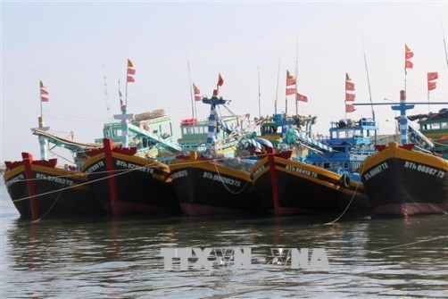 Khắc phục “thẻ vàng” IUU: Bình Thuận ngăn chặn triệt để khai thác hải sản trái phép