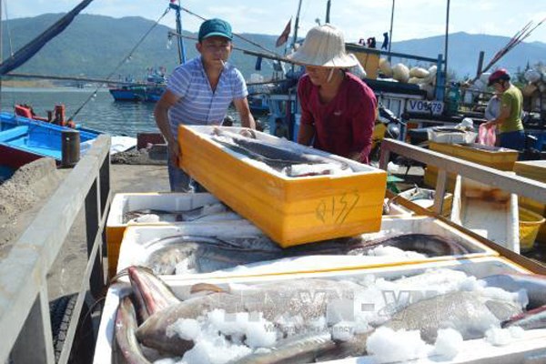 Hỗ trợ người dân tiêu thụ gần 300 tấn hải sản tồn đọng do ảnh hưởng của dịch COVID-19