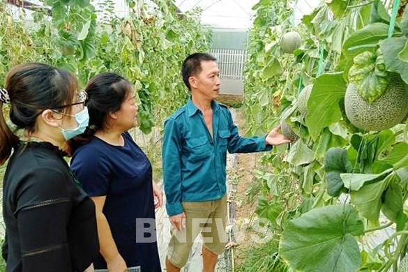 Vốn chính sách giúp người dân vùng cao Bắc Kạn vượt nghèo