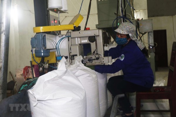 Dự báo doanh nghiệp mía đường lấy lại vị thế trong năm 2023