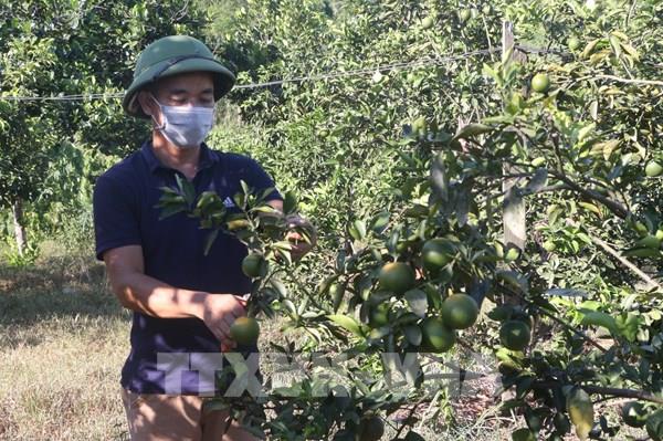 Chương trình mục tiêu quốc gia giảm nghèo bền vững 2021 – 2025