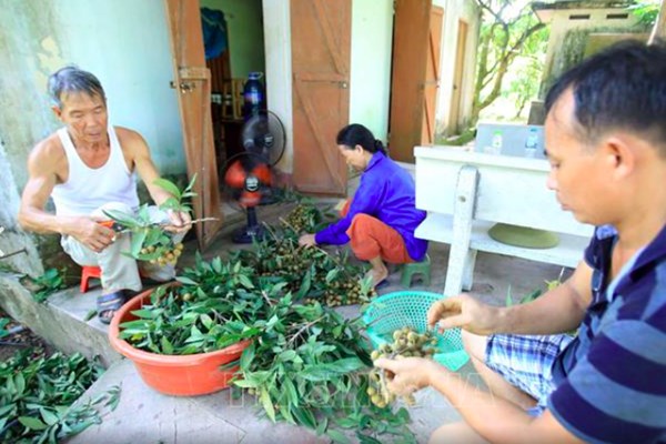 Hưng Yên đặt mục tiêu 100% sản phẩm OCOP có dữ liệu truy xuất nguồn gốc