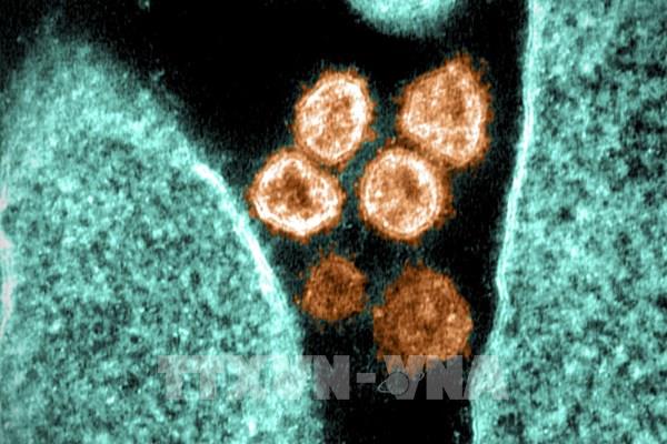 Phát hiện mới về khả năng lây lan của virus SARS-CoV-2