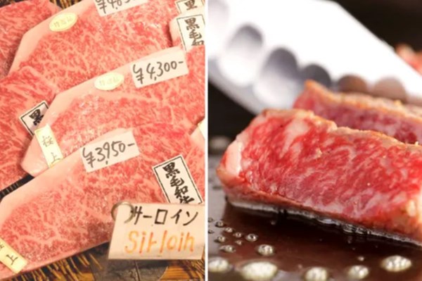 EU sẽ nới lỏng các hạn chế nhập khẩu thực phẩm từ Nhật Bản