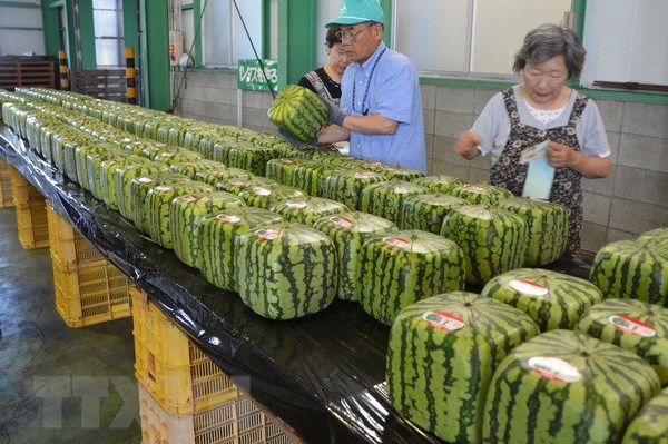 Mỹ dỡ bỏ lệnh cấm nhập khẩu nông sản từ Nhật Bản