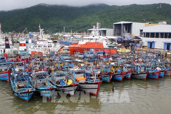 Áp thấp nhiệt đới mạnh lên thành bão số 6