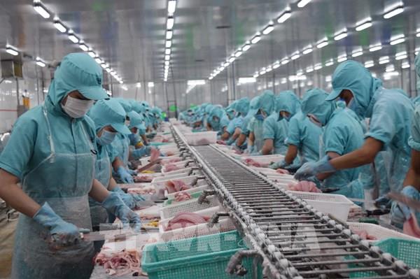 Sản xuất nhanh chóng bắt nhịp trạng thái bình thường mới