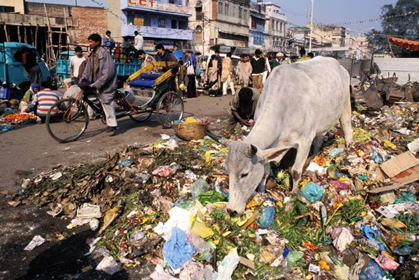 Tổ chức tư vấn Boston: Sẽ tiết kiệm được 700 tỷ USD nếu giảm lãng phí thực phẩm 