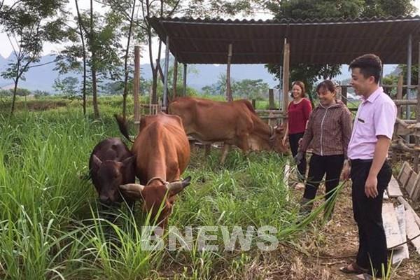 Lực đẩy thoát nghèo ở Hoà Bình