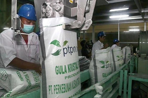 Indonesia thành lập Tổng công ty mía đường thuộc sở hữu nhà nước