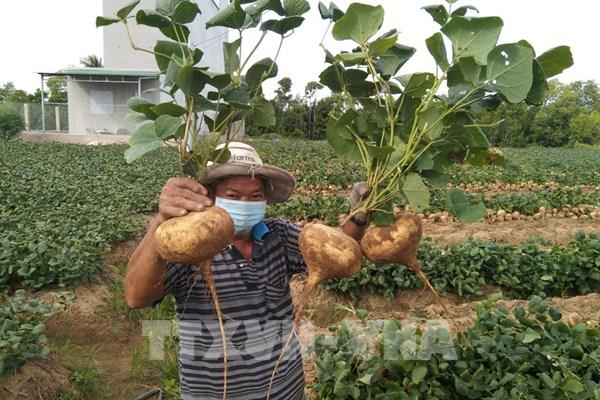 Bến Tre cho chạy lại xe buýt nội tỉnh, người dân được sinh hoạt thể thao