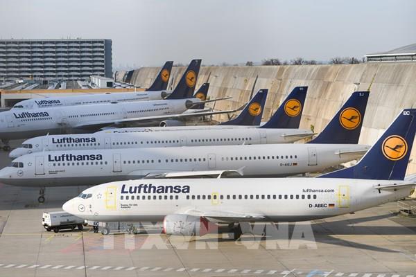 Lufthansa tăng tần suất chuyến bay để hút khách doanh nhân